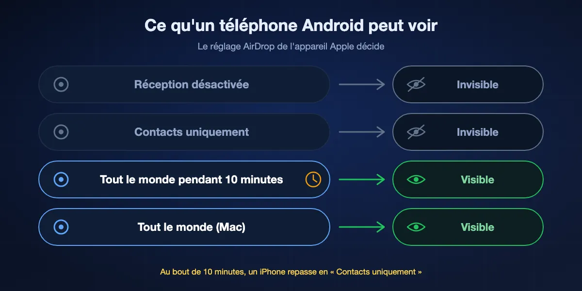 Les réglages AirDrop d'un appareil Apple qu'un téléphone Android peut voir : Réception désactivée et Contacts uniquement restent invisibles pour Android ; Tout le monde pendant 10 minutes sur iPhone ou iPad et Tout le monde sur Mac sont visibles ; au bout de dix minutes, l'iPhone repasse en Contacts uniquement.