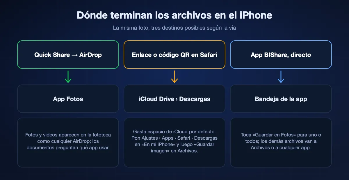Dónde caen los archivos recibidos en el iPhone: AirDrop desde Quick Share va directo a Fotos; las descargas de Safari desde un enlace o código QR van a Descargas de iCloud Drive salvo que elijas «En mi iPhone», y las fotos necesitan «Guardar imagen» en Archivos; la app BIShare guarda los archivos en su bandeja, donde «Guardar en Fotos» los añade a la fototeca.