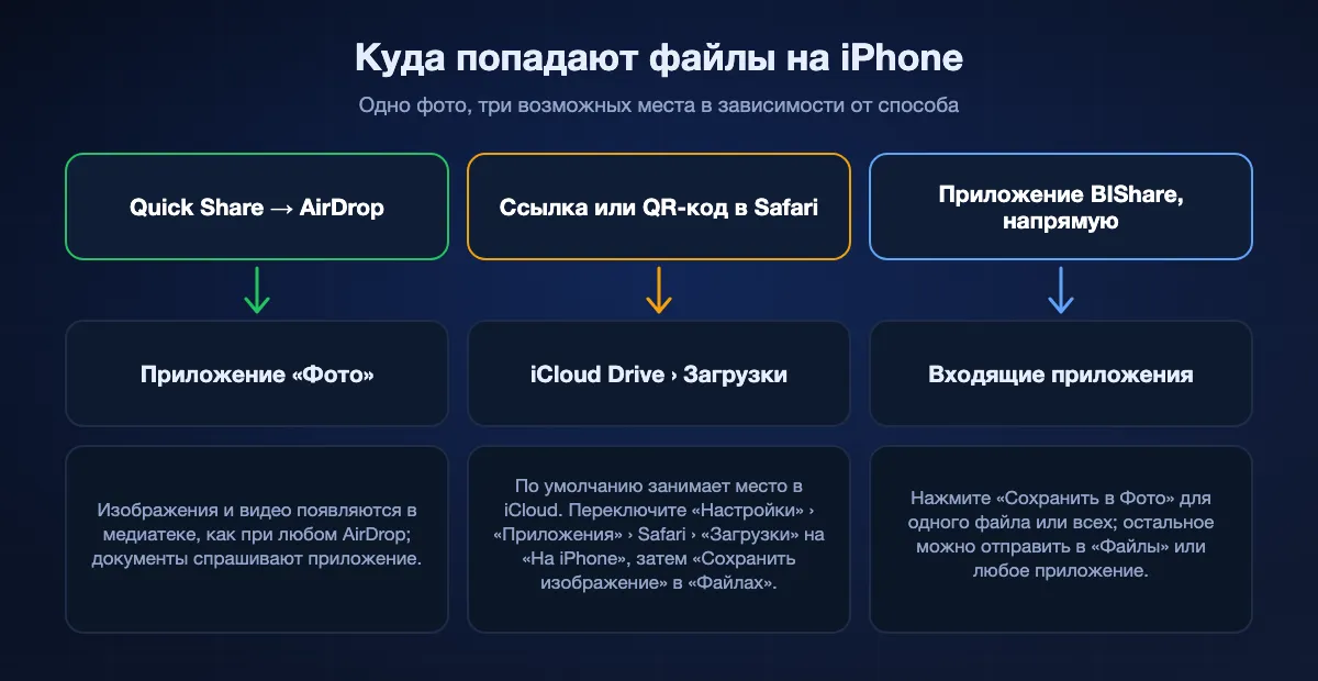 Куда попадают полученные файлы на iPhone: AirDrop из Quick Share идёт прямо в «Фото»; загрузки Safari по ссылке или QR-коду идут в «Загрузки» iCloud Drive, если не выбрать «На iPhone», а фото нужно сохранить через «Сохранить изображение» в «Файлах»; приложение BIShare держит файлы во входящих, где «Сохранить в Фото» добавляет их в медиатеку.