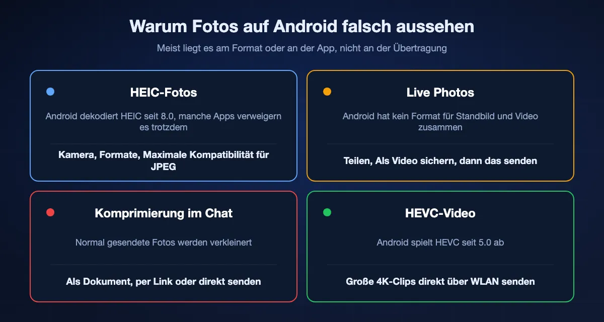 Vier Gründe, warum iPhone-Fotos auf Android falsch aussehen: HEIC-Dateien, die Android seit 8.0 dekodiert und die „Maximale Kompatibilität“ vermeidet; Live Photos, bei denen nur das Standbild ankommt, außer man sichert sie als Video; Chat-Apps, die Fotos komprimieren, außer man sendet sie als Dokument; und HEVC-Video, das Android seit 5.0 abspielt.