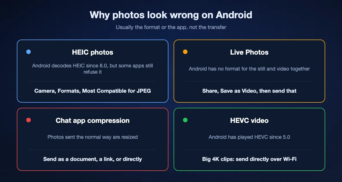 Four reasons iPhone photos look wrong on Android: HEIC files, which Android has decoded since 8.0 and which Most Compatible avoids; Live Photos, where only the still arrives unless saved as video; chat apps that compress photos unless sent as a document; and HEVC video, which Android has played since 5.0.