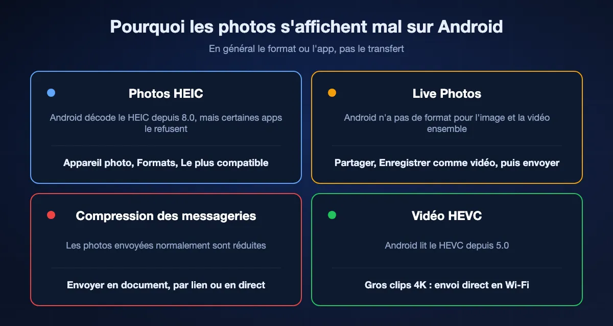 Quatre raisons pour lesquelles les photos d'iPhone s'affichent mal sur Android : les HEIC, qu'Android décode depuis 8.0 et que Le plus compatible évite ; les Live Photos, dont seule l'image fixe arrive sauf enregistrement en vidéo ; les messageries, qui compressent sauf envoi en document ; et la vidéo HEVC, lue par Android depuis 5.0.