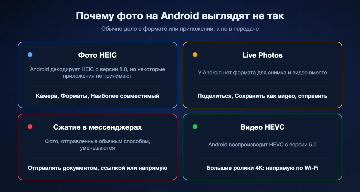 Четыре причины, почему фото с iPhone выглядят на Android не так: файлы HEIC, которые Android декодирует с версии 8.0 и которых избегает режим «Наиболее совместимый»; Live Photos, от которых доходит только снимок, если не сохранить их как видео; мессенджеры, которые сжимают фото, если не отправить документом; и видео HEVC, которое Android воспроизводит с версии 5.0.